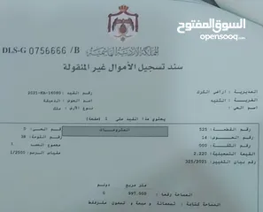  2 ارض للبيع الكرك الثنية