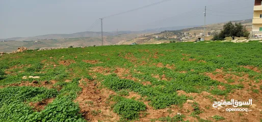  10 أرض مميزة مطلة على القدس  من أراضي غرب عمان للبيع