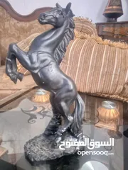  16 مناظر   حيوانات