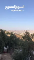  12 4 قطع اراضي للبيع في منطقة عين الباشا