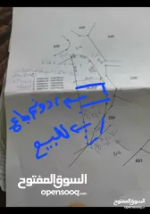  4 ارض زراعيه للبيع
