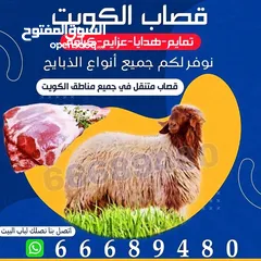  1 قصاب الكويت اغنام ذبايح للبيع