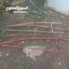  1 بيت بلاستيك