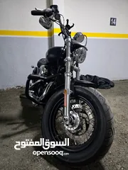  8 Harley Davidson Sportster Custom XL 1200