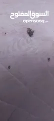  4 فرشة طبية زمبركية