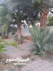  5 منزل للبيع خلف مركز البهجة قريب من مسجد ابي مسلم البهلاني
