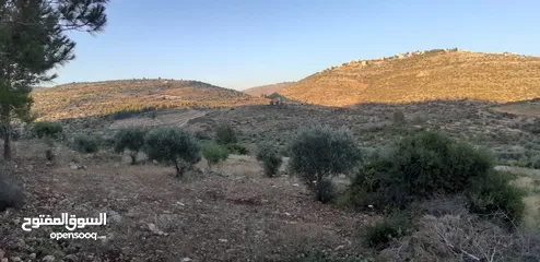  1 ارض للبيع بسعر مغري جدا عالكاششش