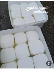  8 عسل نحل ممتاز ،جبنه بيضاء ممتاز بما يرضي الله
