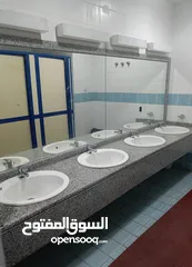  3 معلم ومدرب سباحة خاص (برايفت)