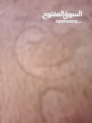  1 ذكر مكس مكس
