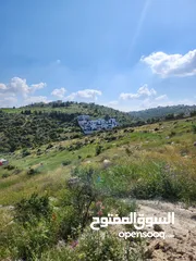  6 قطعة مميزة 2400 متر حوض ابو ركبة بالقرب من بدر الجديده  منطقه فلل وقصور