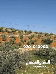  7 للبيع 3500م ثلاث دنم ونصف منطقة نادرة شرق جرش