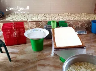  1 مطلوب شريك ممول لمعمل اجبان  يعمل بشكل جيد