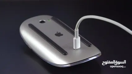  1 Magic mouse apple