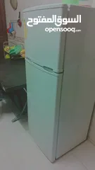  3 عين الباشا