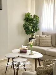  1 كونر معيشة حرف L