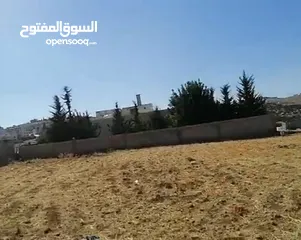  8 أرض مميزه جدا للبيع بشفا بدران بسعر ممتااااز