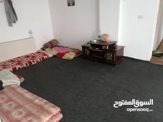  4 مطلوب شريك سكن