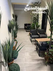  1 6 استوديوهات للبيع من المالك مباشرة  مفروشات ومؤجرات بدخل شهري 3400 دولار  للاستثمار بكوشان طابو