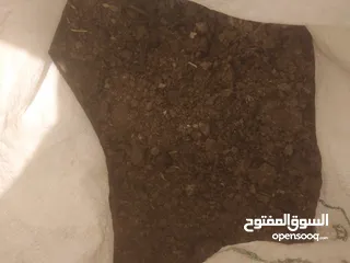  6 زبل غنم سماد للحدائق والاشجار نصف دينار