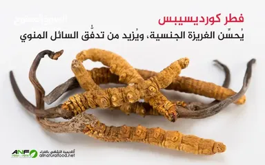  1 فطر الكورديسبس العضوي (فيجرا جبال الهمالايا)  لتعزيز وتنشيط صحة القلب والاوعية الدموية.
