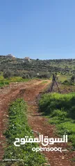  1 نمرة ارض 700 متر