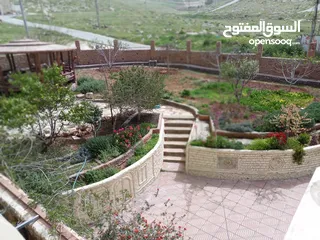  15 تل الرمان اراضي شمال عمان فيلا فخمه ومزرعه 3000 م جميع الخدمات قريبه للاوتستراد