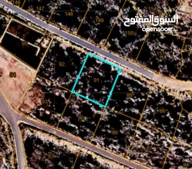  2 دونم ارض في كفر عين مرتفع باطلالة غربية ساحرة  (مشروع طابو)