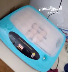  3 حضانه نضيفه 24 بيضه عيب لا ربي يبارك