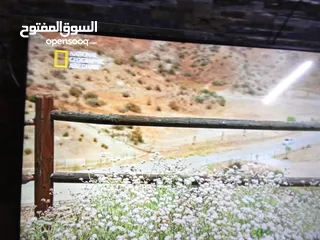  2 شاشه سامسونج فل hd استخدام بسيط جدا للبيع لا يوجد فيها اي نوع من المشاكل للبيع سامسونج