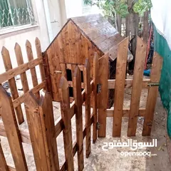  8 بيوت كلاب خشب