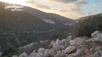  1 نمرة ارض مميزة للبيع في عصيرة الشمالية بجانب حي الجبل