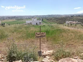  12 قطع اراضي للبيع في كتم حوض وادي حسان