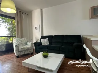  4 شقة مفروشة للإيجار 130م2 ( Property 18647 )