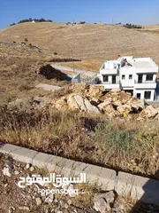  5 ارض للبيع في السلط الجبيهة