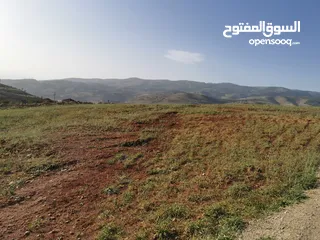  2 قطعة أرض مميزة للبيع في السلط الصبيحي قصيب مرتفعة ومطلة بسعر مغري
