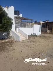  2 شلية في مصيف النخيل