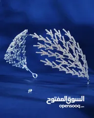  3 اكسسوار شعر من شي ان للبيع بسعره الاصلي جديد غير مستعمل