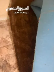  3 موكيت كبير 5×4 لون بني شبه جديد للبيع مع موكيت طويل بني كمان للممر