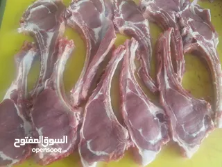  13 شركه المحمديه للأمن الغذائي موجود كوراع فريش ونظيفه