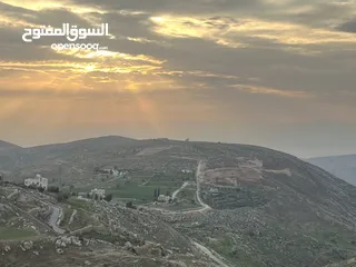  4 ارض 5 دونم سكن ريفي في بدر ( حي الاميرات)