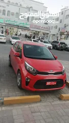  4 Kia Picanto for Rent in very Good Condition  كيا بيكانتو للايجار