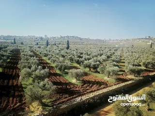  5 الارض والبناء للبيع سعر حرق عالكاش موجود في دورا بس تقسيط او كاش يحج وتعال