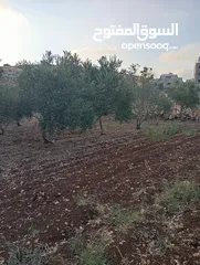  5 اعلان عن ارض