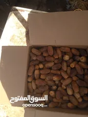  5 مطلوب شريك ممؤل لتجاره بلح بين الشماليه وشندي ربح مضمون بإذن الله