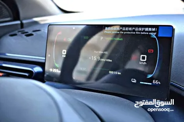  13 BYD SEAGULL FLYING 2024