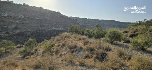  4 ارض زراعيه للبيع بني كنانه