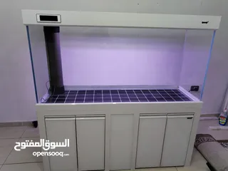  2 متاح تشكيلة احواض سمك اجنبيه