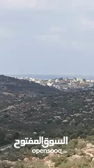  8 القبة الذهبية  شارع بلعا-دير الغصون