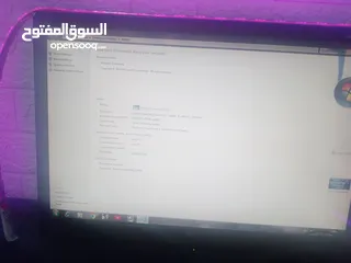  2 لبدل على جوز كوكتيل أليف مع قفص فقط